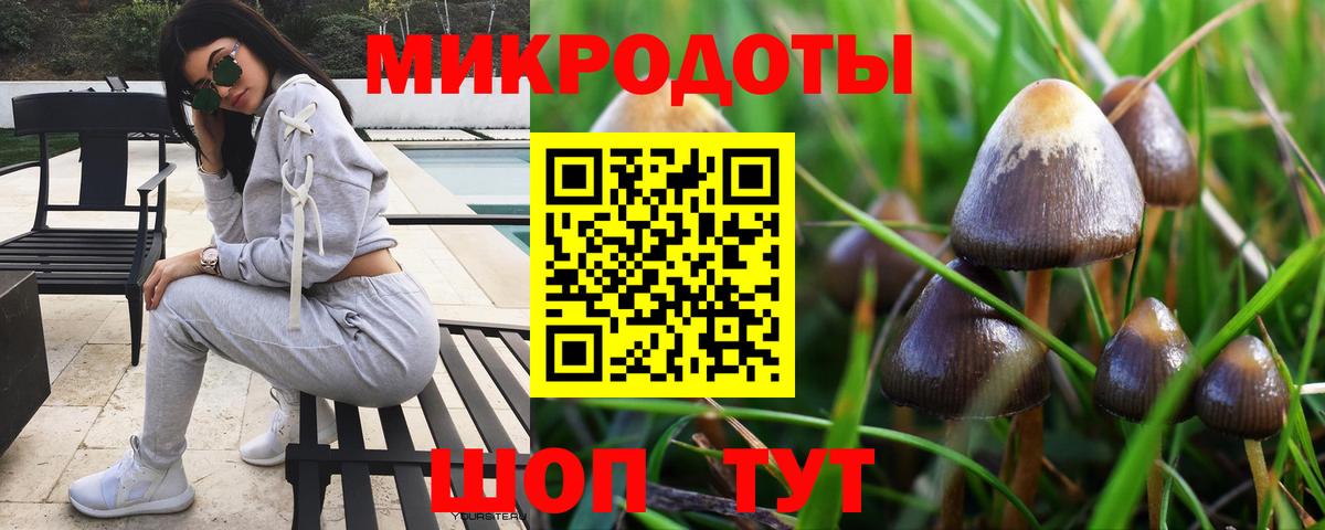 Чусовой  Галлюциногенные грибы Cubensis  Вход с VPN  Галлюциногенные грибы ЛСД 